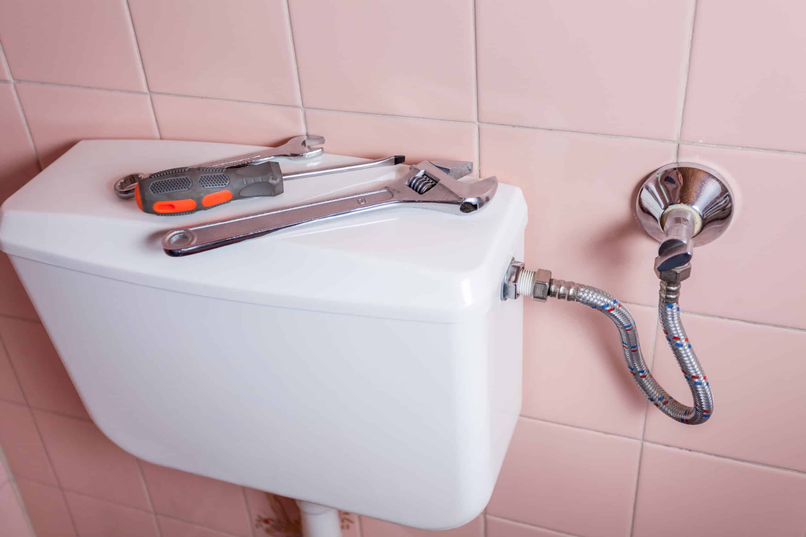 Drain services